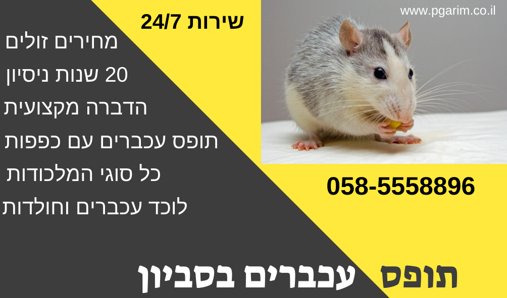 תופס עכברים וחולדות