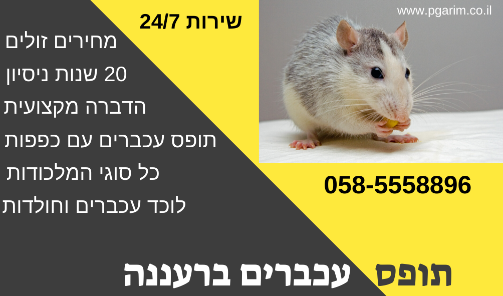 לוכד עכברים רעננה