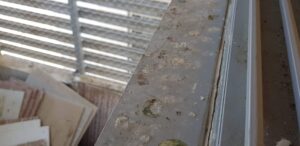 ניקוי מרפסת שירות