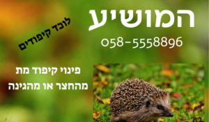 לוכד קיפודים