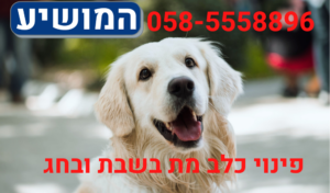 פינוי כלב מת בשבת ובחג מחיר הכי זול - המושיע