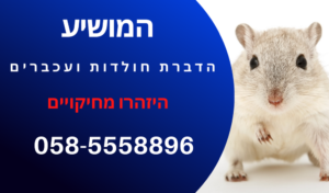 המושיע - הדברת חולדות