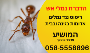 הדברת נמלת האש מחיר הכי זול