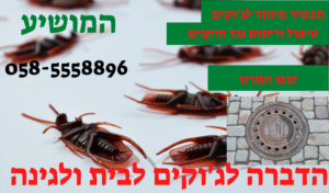 הדברה לג'וקים